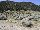 Enlarge photo 89