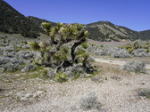 Enlarge photo 90