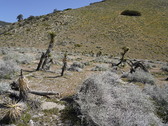 Enlarge photo 92