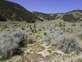 Enlarge photo 99