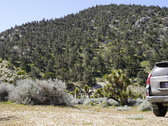 Enlarge photo 102