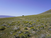 Enlarge photo 105