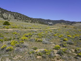 Enlarge photo 107