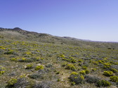 Enlarge photo 108