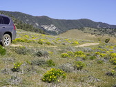 Enlarge photo 111