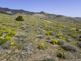 Enlarge photo 113