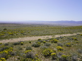 Enlarge photo 115