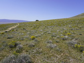 Enlarge photo 116