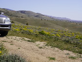 Enlarge photo 118