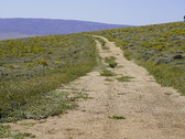Enlarge photo 119