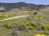 Enlarge photo 120
