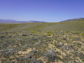 Enlarge photo 121