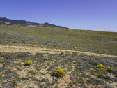 Enlarge photo 123