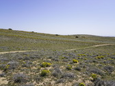 Enlarge photo 124