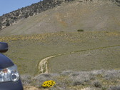 Enlarge photo 128