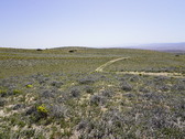 Enlarge photo 129