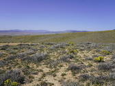 Enlarge photo 131