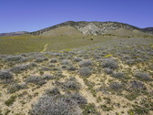 Enlarge photo 132
