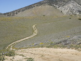 Enlarge photo 136
