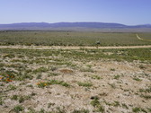 Enlarge photo 137