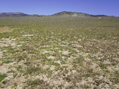 Enlarge photo 139