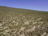 Enlarge photo 140