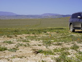 Enlarge photo 143