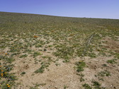 Enlarge photo 146