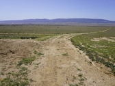 Enlarge photo 147