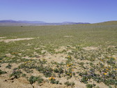 Enlarge photo 148