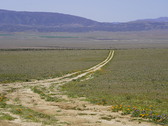 Enlarge photo 151