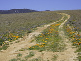 Enlarge photo 152