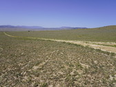 Enlarge photo 153