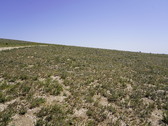 Enlarge photo 156