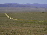 Enlarge photo 159