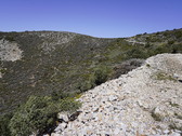 Enlarge photo 161