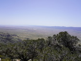Enlarge photo 164