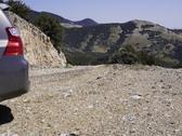 Enlarge photo 169
