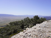 Enlarge photo 168