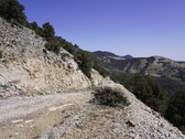 Enlarge photo 172