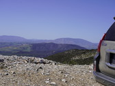Enlarge photo 175