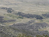 Enlarge photo 179