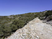 Enlarge photo 181