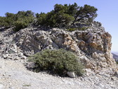 Enlarge photo 182