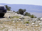 Enlarge photo 188