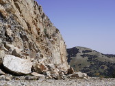 Enlarge photo 192