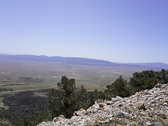 Enlarge photo 201