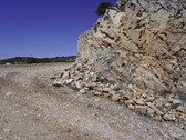 Enlarge photo 203