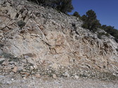 Enlarge photo 204