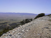 Enlarge photo 210